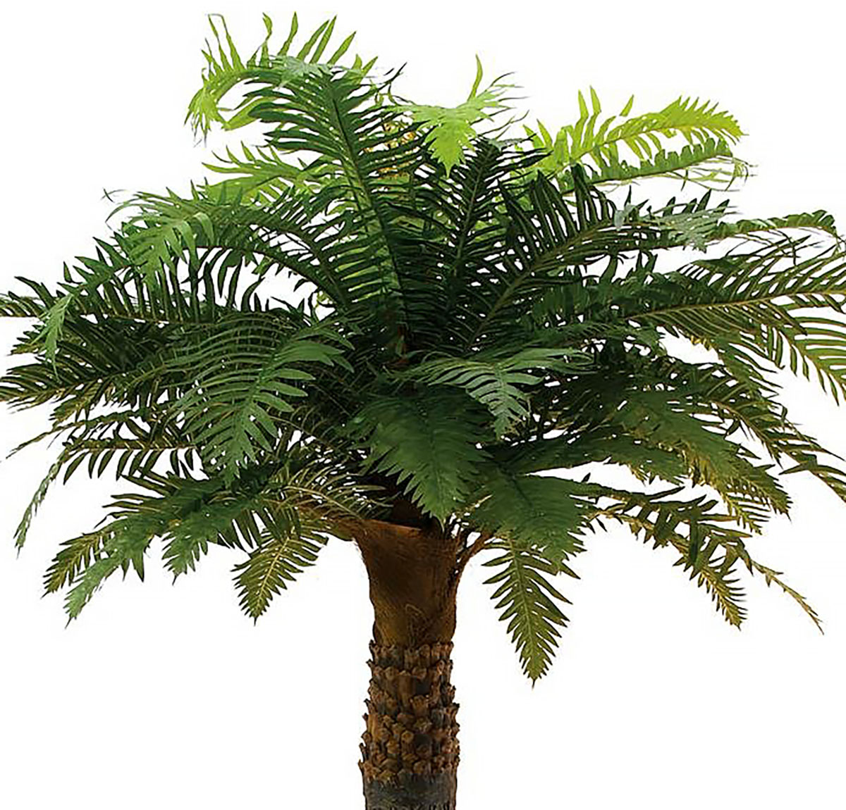 Fern palm, artificial, 180cm Konstgjorda palmer SoundStoreXL Sverige